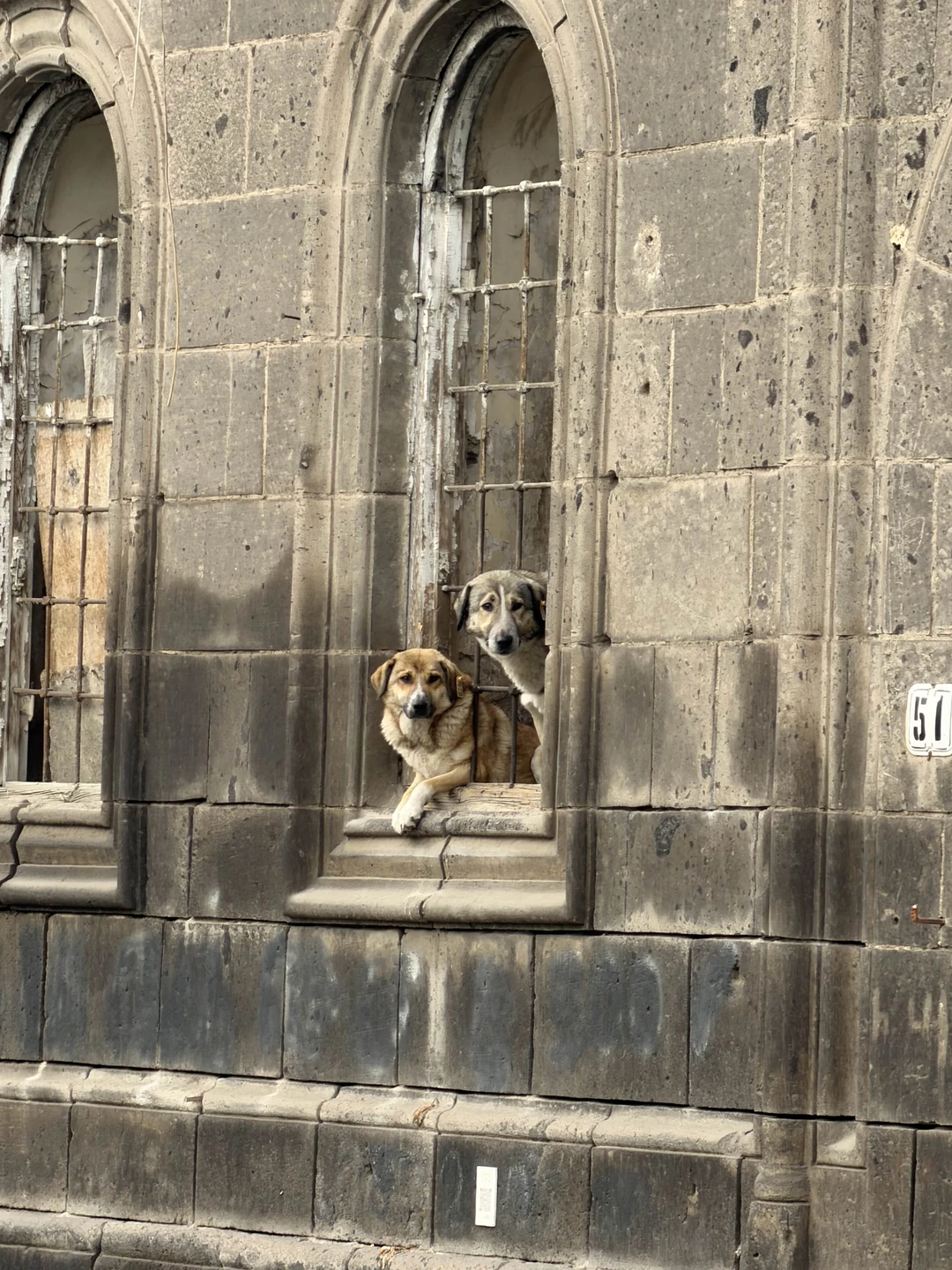 Фото путешественника — 6