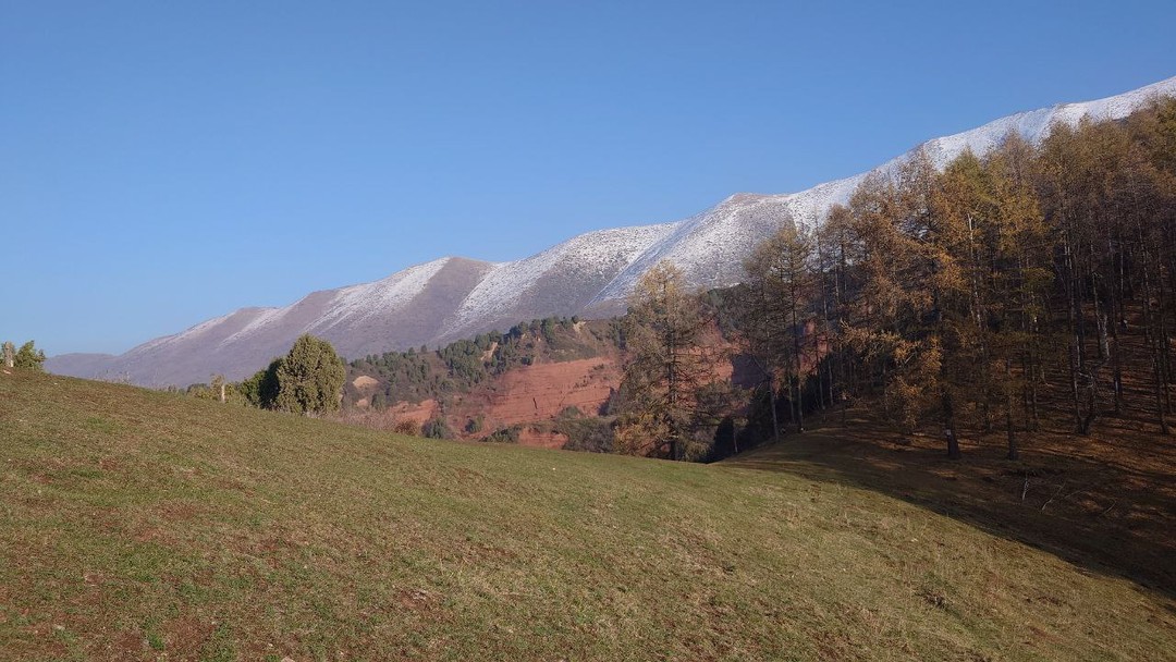 Отзыв о экскурсии "Парк Ала-Арча и горные ущелья за 1 день" — фото 4