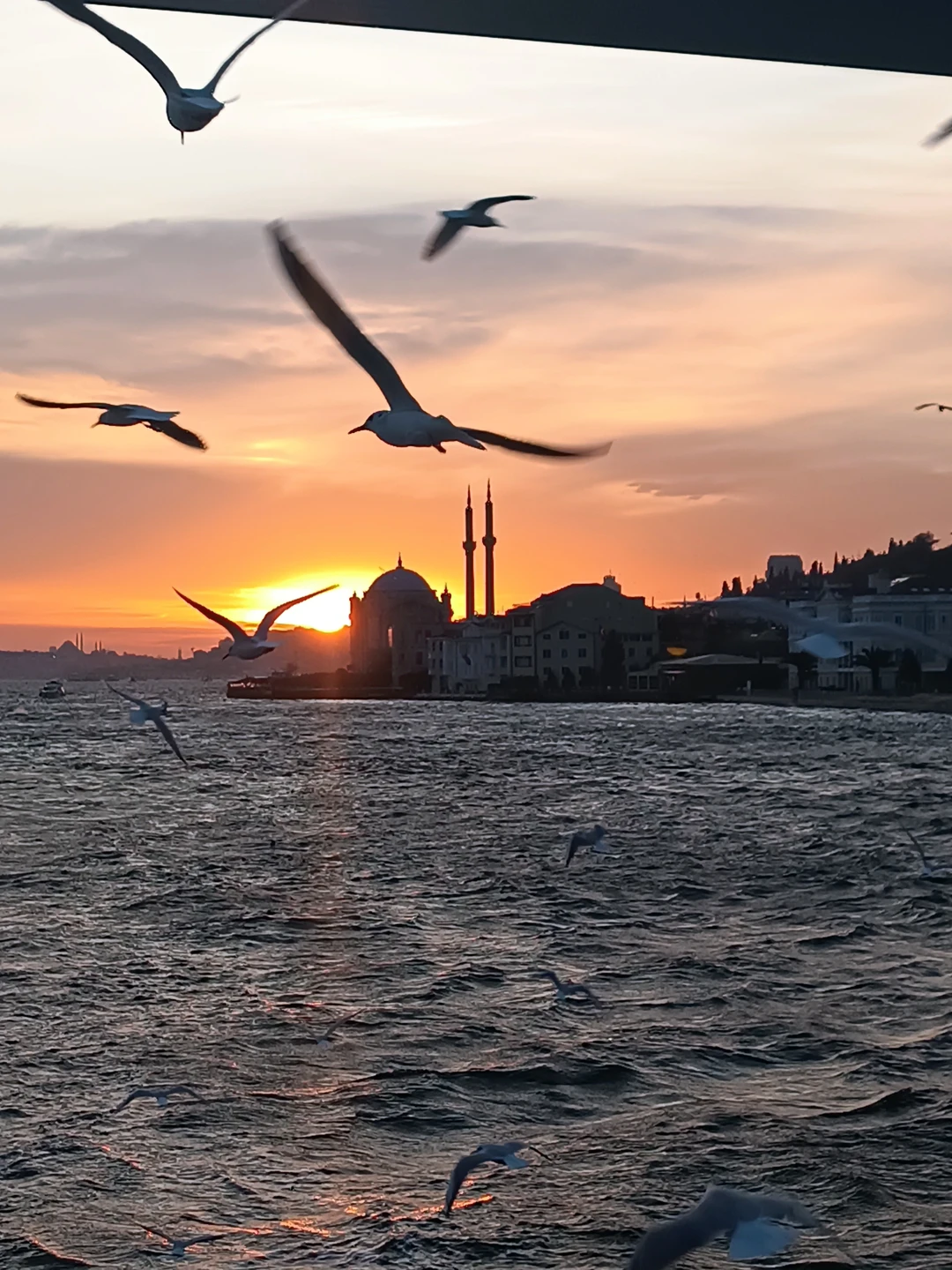 Отзыв о экскурсии "Морская прогулка по Босфору с аудиогидом" — фото 3