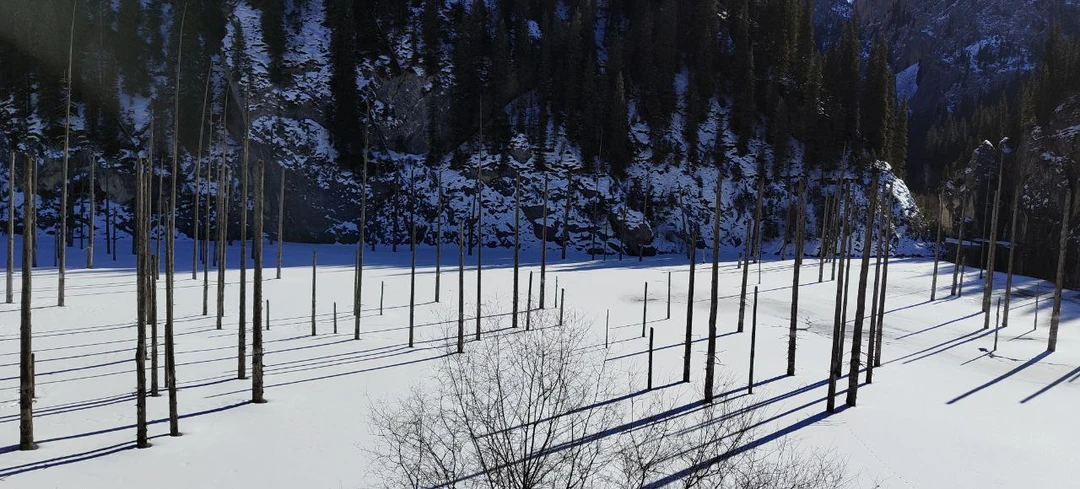 Отзыв о экскурсии "Комфорт-маршрут по озёрам Каинды, Кольсай и Чарынскому каньону" — фото 4