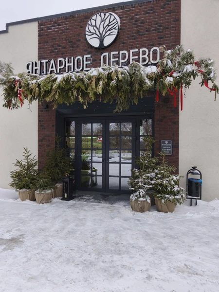 Отзыв о экскурсии "Путешествие в Светлогорск, Янтарный и Балтийск" — фото 3