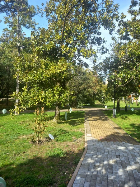 Фото путешественника — 6