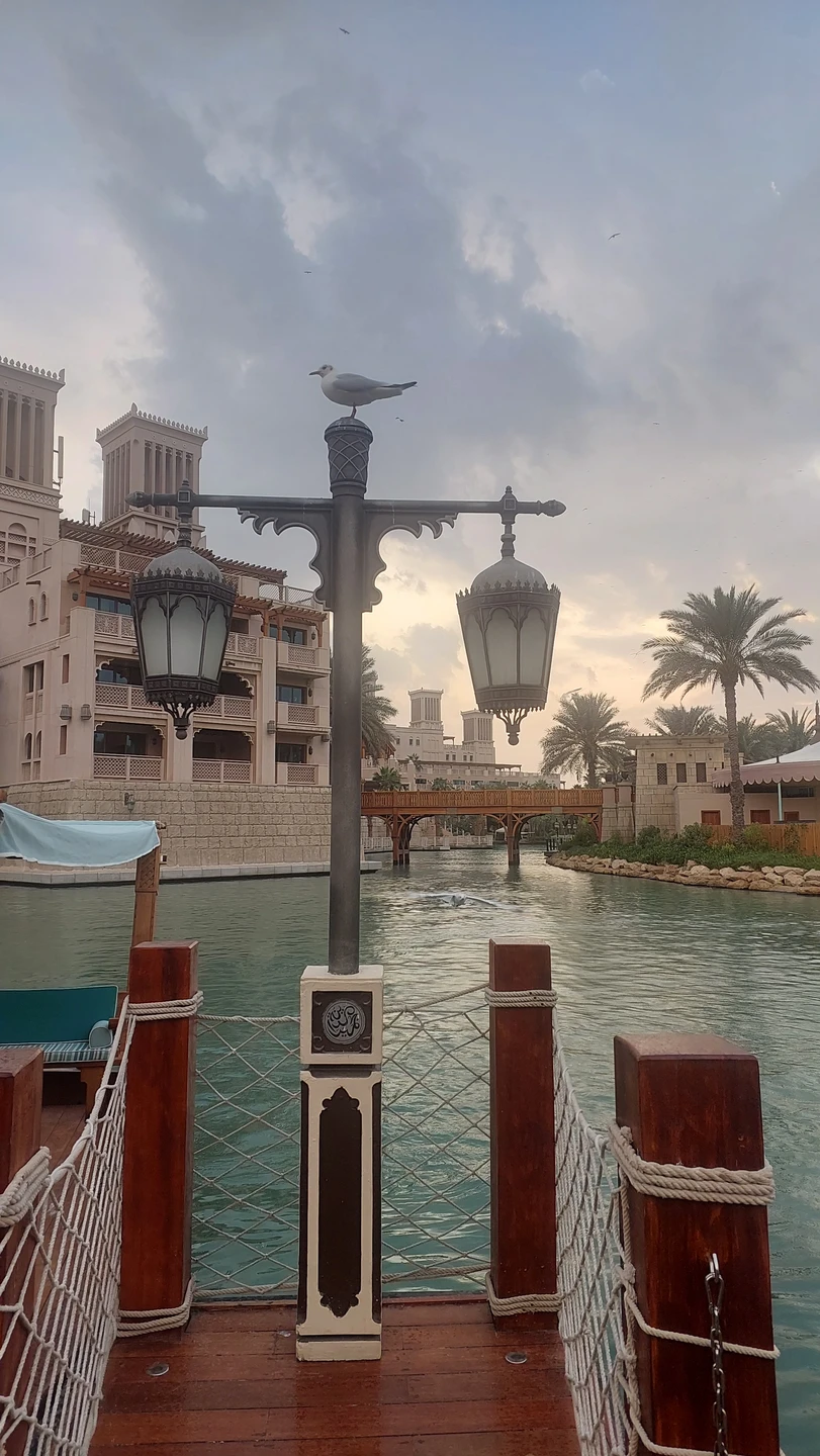 Отзывы об экскурсиях в Дубае