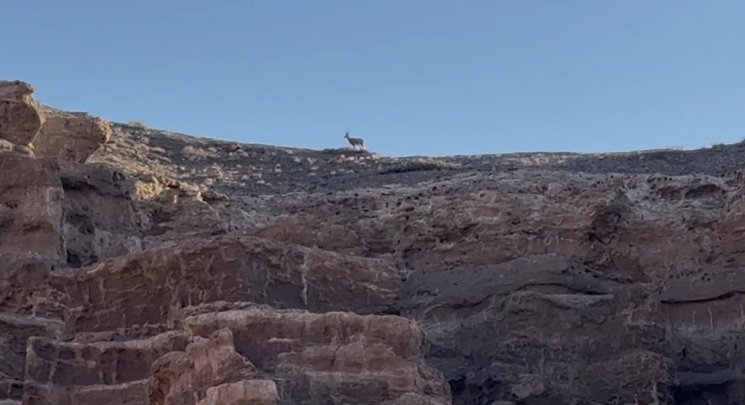 Отзыв о экскурсии "Комфорт-маршрут по озёрам Каинды, Кольсай и Чарынскому каньону" — фото 2