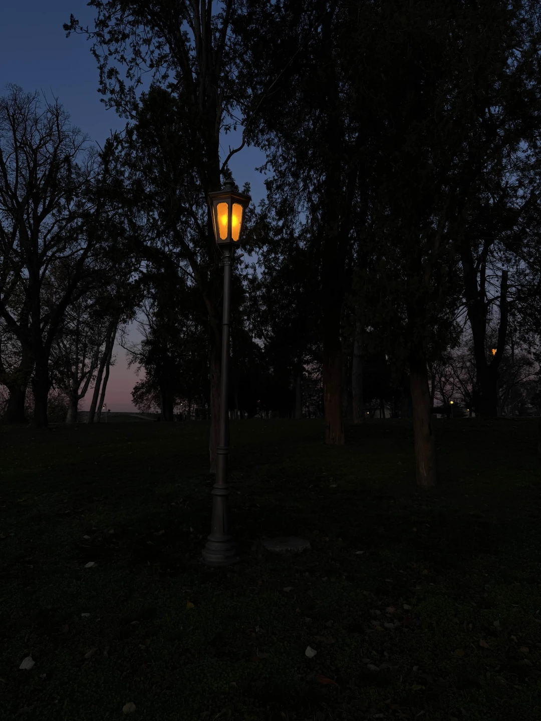 Фото путешественника — 6