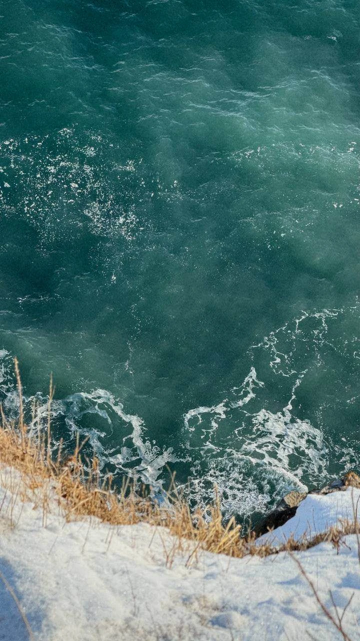 Отзыв о экскурсии "К мысу Маячный и скалам Три брата — в нартах" — фото 6