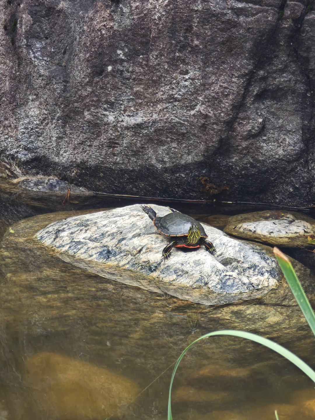 Отзыв о экскурсии "Гангнам вчера и сегодня" — фото 3