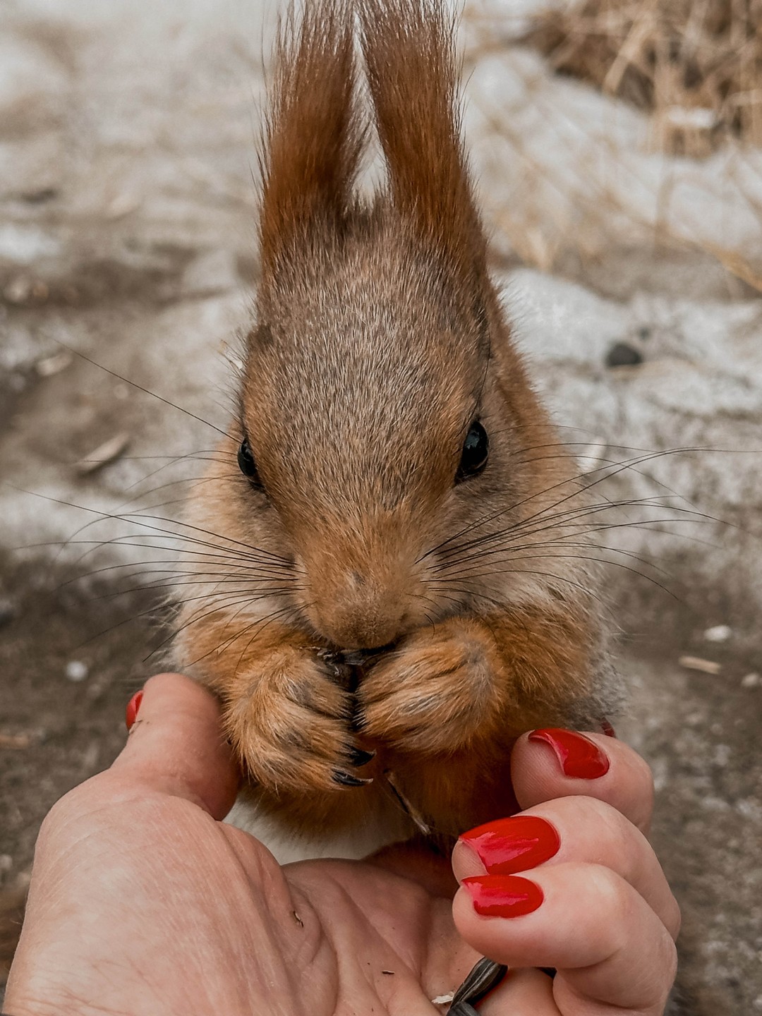 Отзыв о экскурсии "Однодневная экскурсия в природный парк Ала-Арча" — фото 1