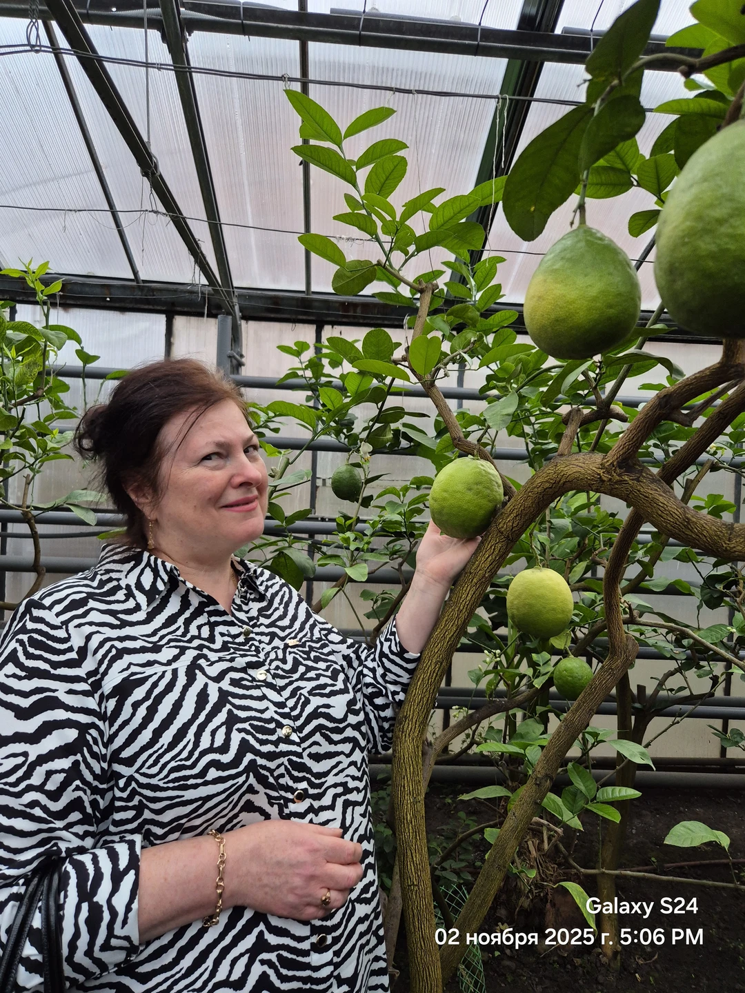 Отзыв о экскурсии "Саратов, история, тропики: экскурсия по городу с посещением лимонария" — фото 1