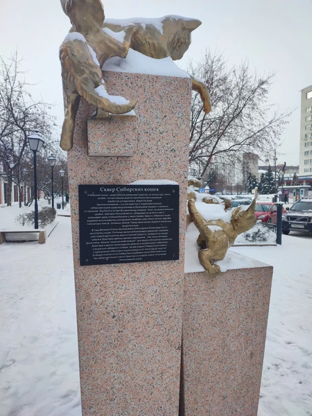 Фото путешественника — 6