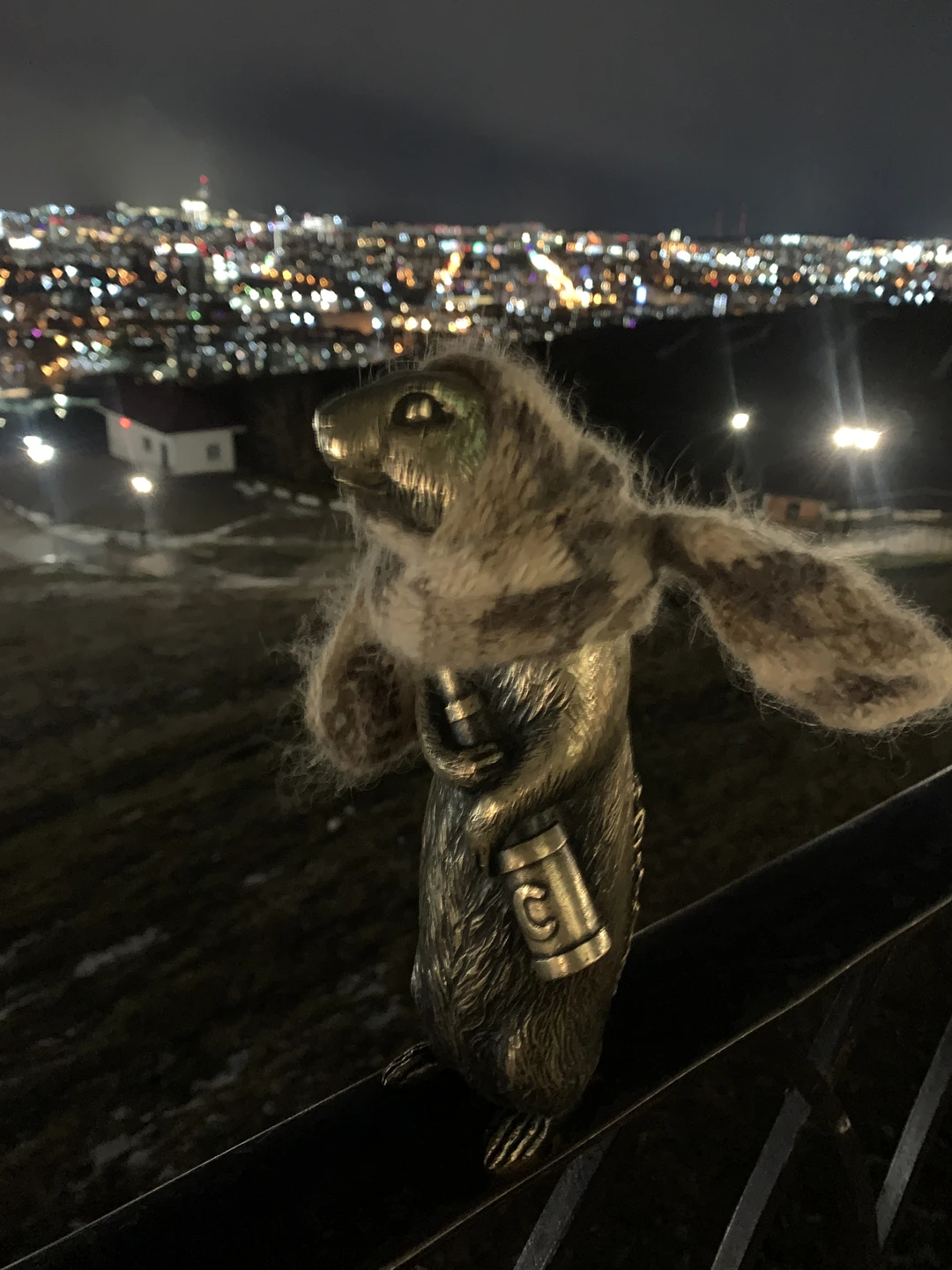 Отзыв о экскурсии "Огни большого города: групповая экскурсия по вечернему Красноярску" — фото 1