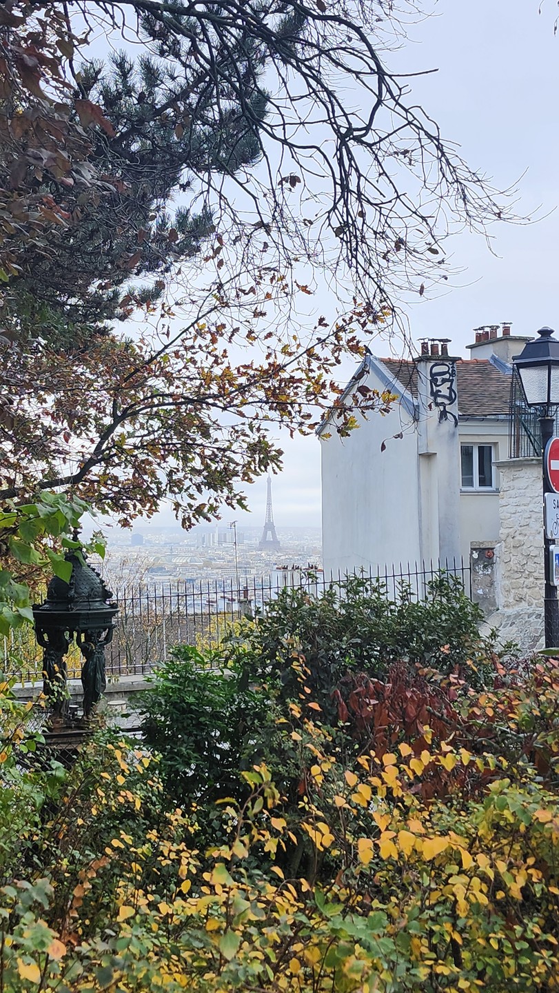 Отзывы об экскурсиях в Париже