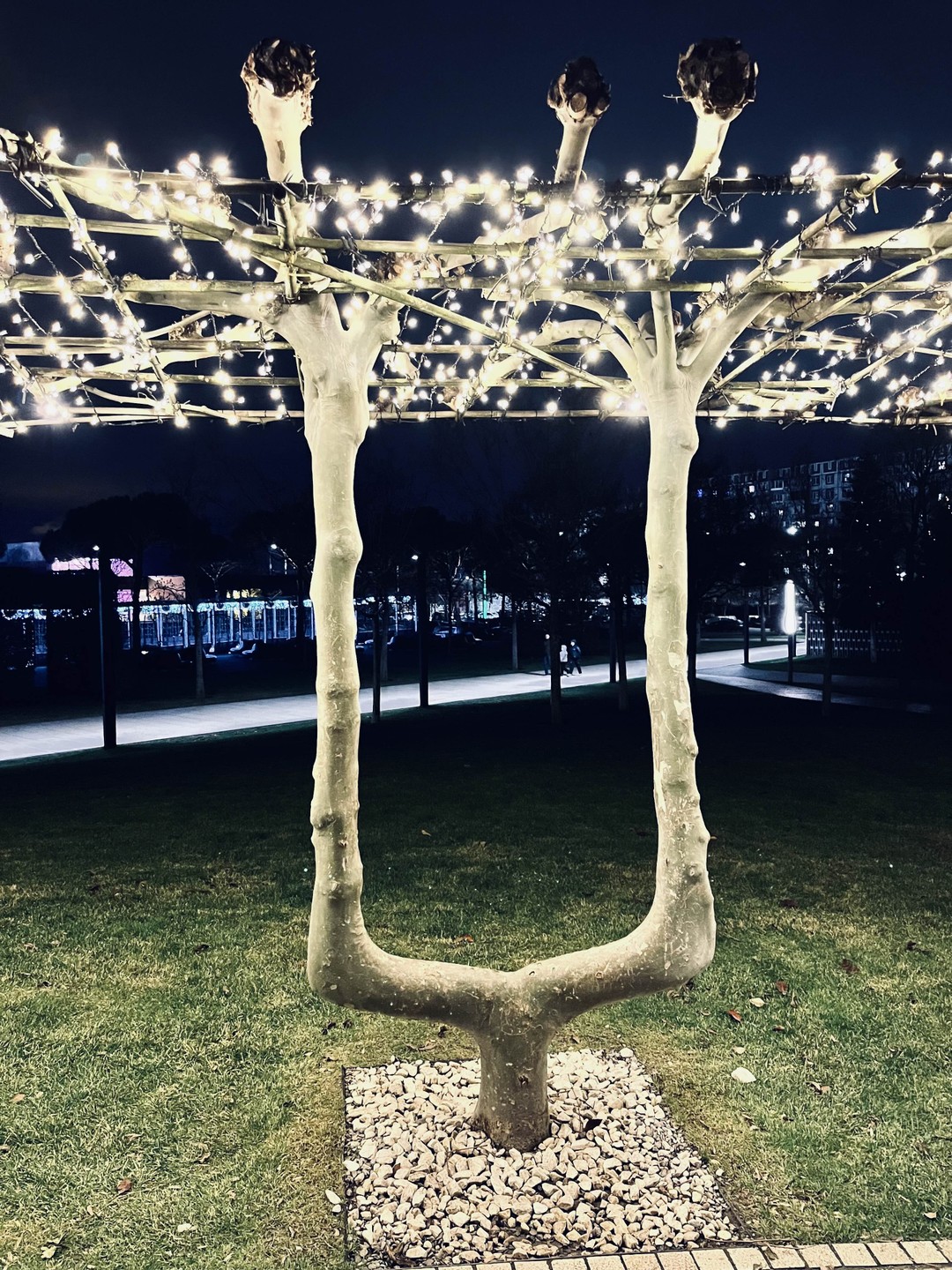 Отзыв о экскурсии "Парк Галицкого в Краснодаре: место, созданное для вдохновения" — фото 3