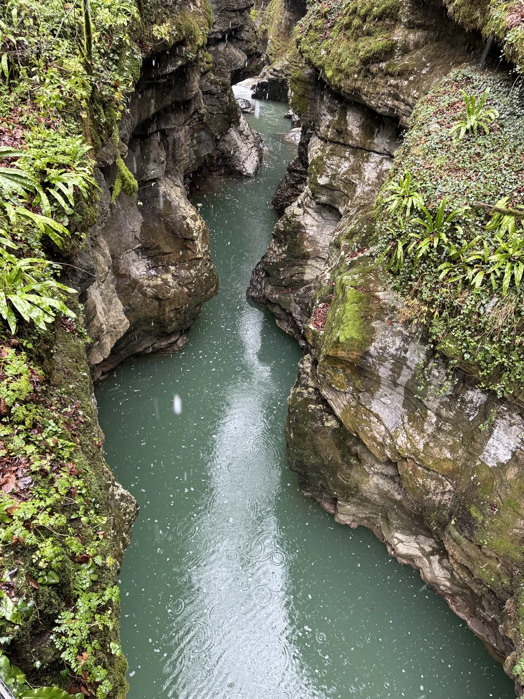 Отзыв о экскурсии "Каньоны и водопады — тайные сокровища западной Грузии" — фото 2