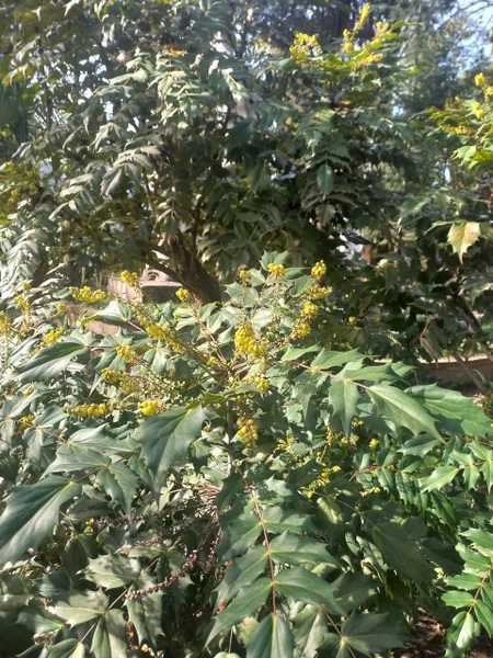 Фото путешественника — 7