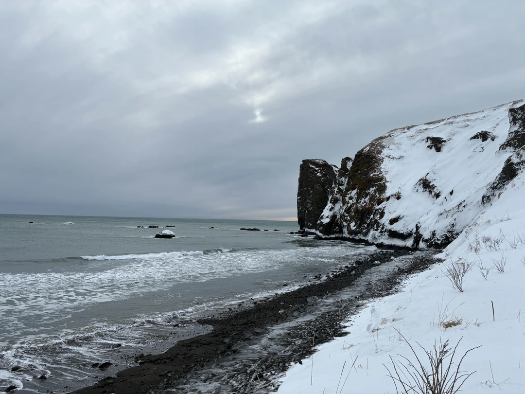 Отзыв о экскурсии "В нартах по берегу Камчатки: Халактырский пляж + мыс Вертикальный" — фото 1
