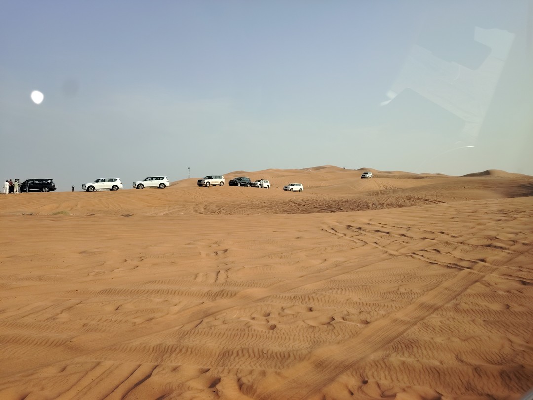 Отзыв о экскурсии "Пустынное сафари в Дубае" — фото 2