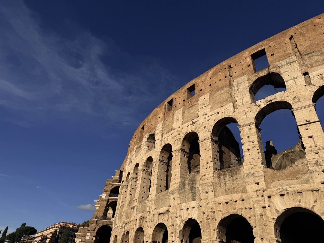 Отзыв о экскурсии "Античное сердце Рима: Колизей, холм Палатин, Форум" — фото 5