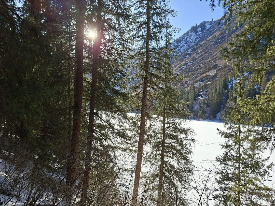 Отзыв о экскурсии "Комфорт-маршрут по озёрам Каинды, Кольсай и Чарынскому каньону" — фото 6