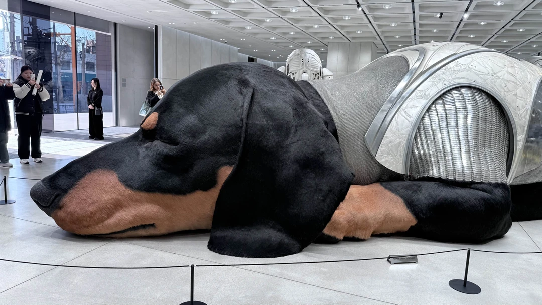 Отзыв о экскурсии "Сеул для любителей современного искусства и шопинга" — фото 6