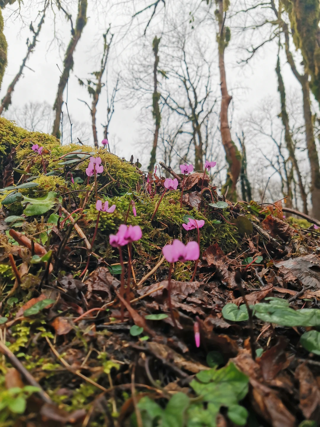 Отзывы об экскурсиях в Адлере