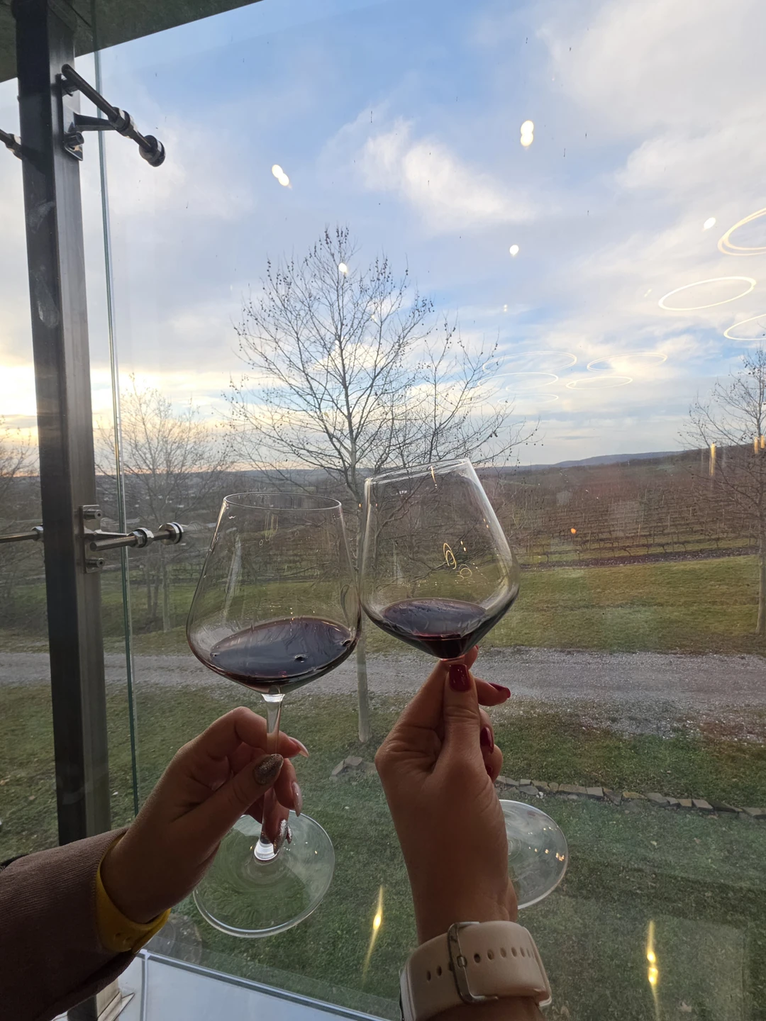 Отзыв о экскурсии "Винные открытия: Скалистый берег, Шумринка и Гай-Кодзор" — фото 4