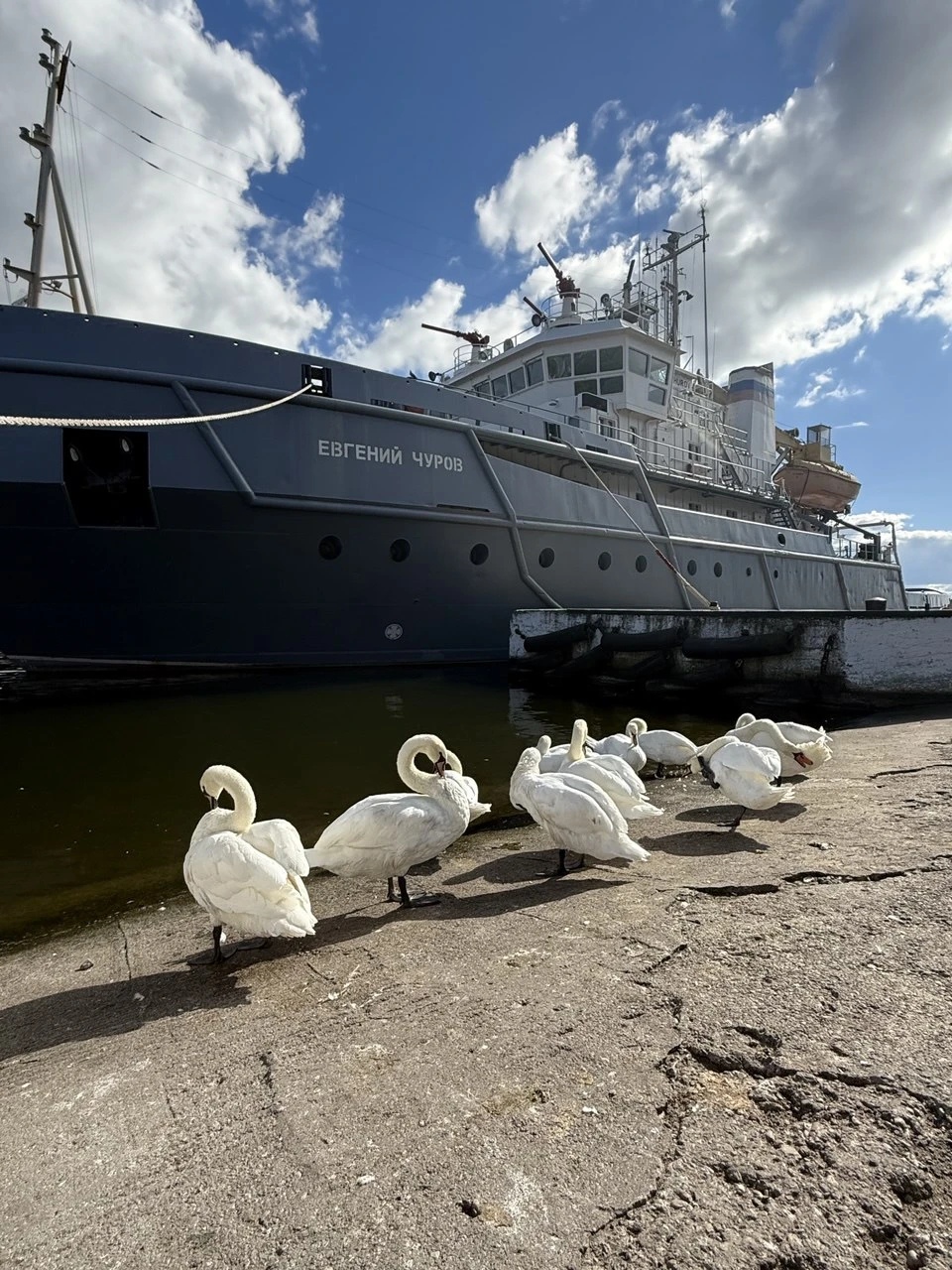 Отзыв о экскурсии "Большое путешествие из Калининграда: секреты местных жителей и жизнь региона" — фото 5