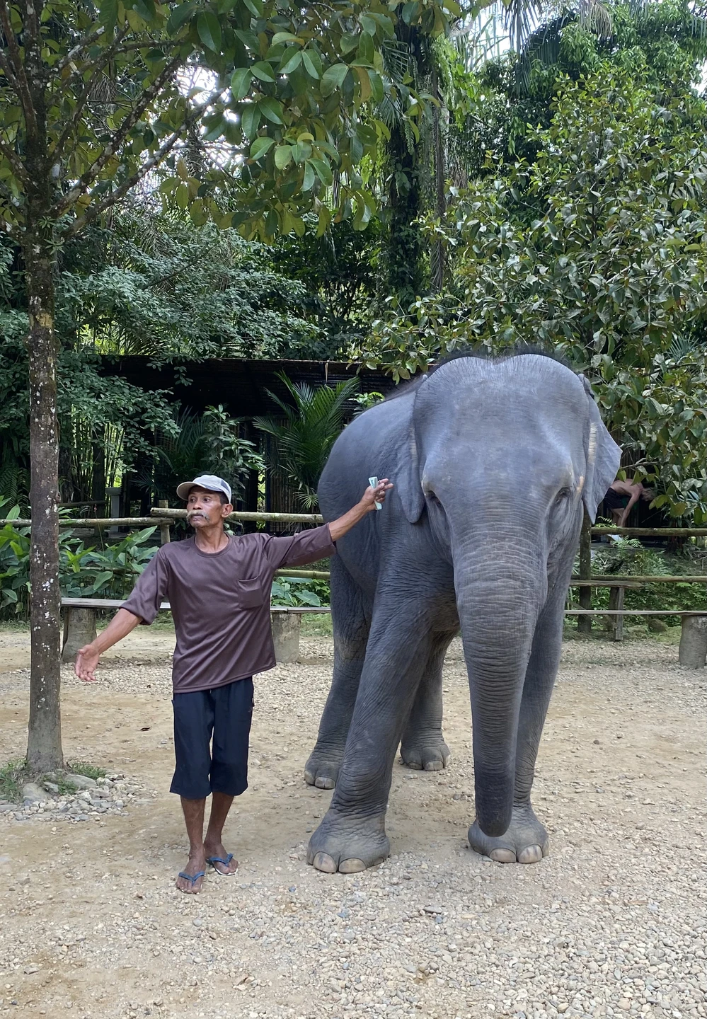 Отзыв о экскурсии "Сказочный мир Аватара и деревня слонов на Пхукете" — фото 1