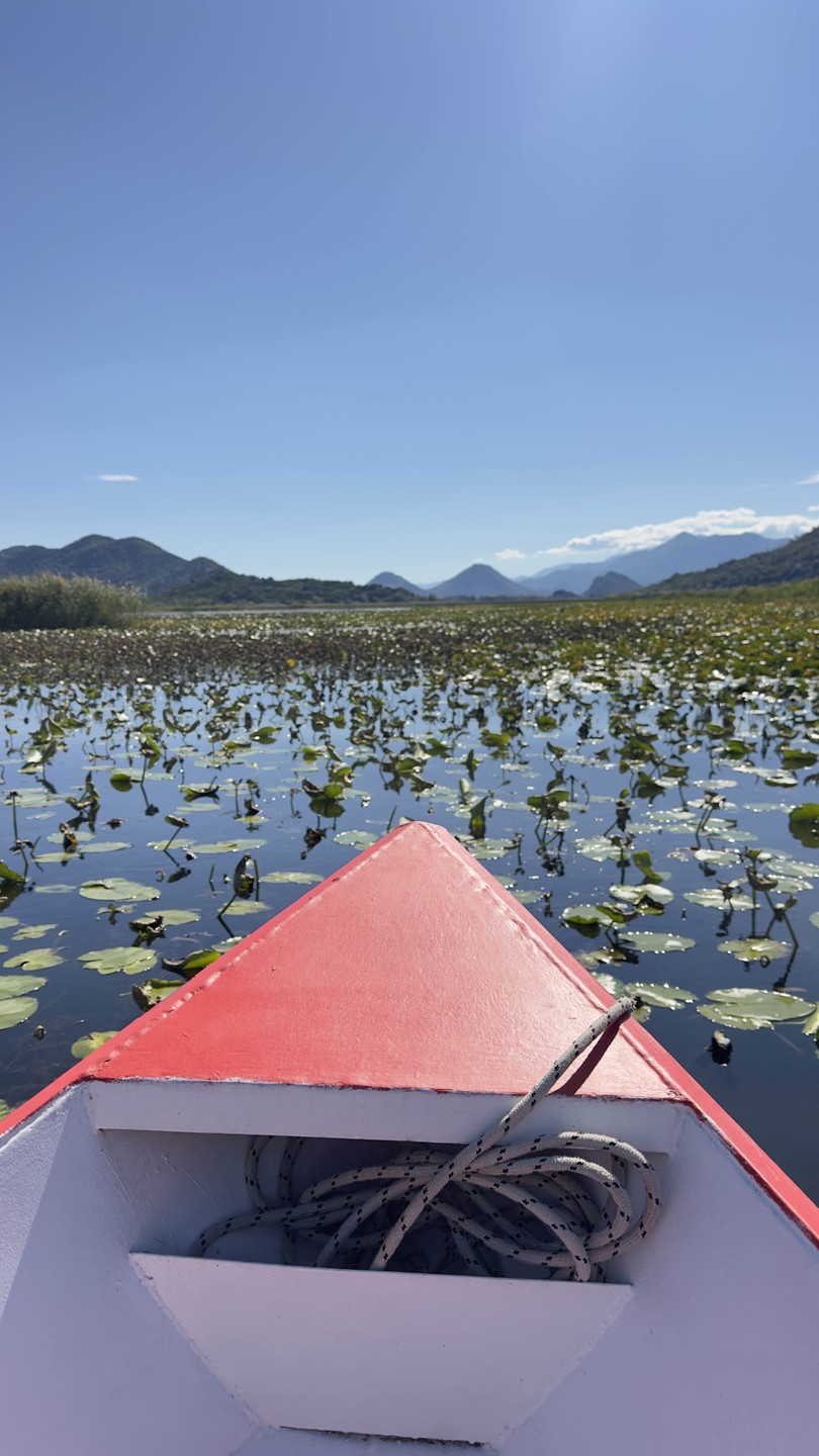 Отзыв о экскурсии "Нетуристическое Скадарское озеро и Боко-Которская бухта с высоты (из Будвы)" — фото 4 Отзыв о экскурсии "Нетуристическое Скадарское озеро и Боко-Которская бухта с высоты (из Будвы)" — фото 4