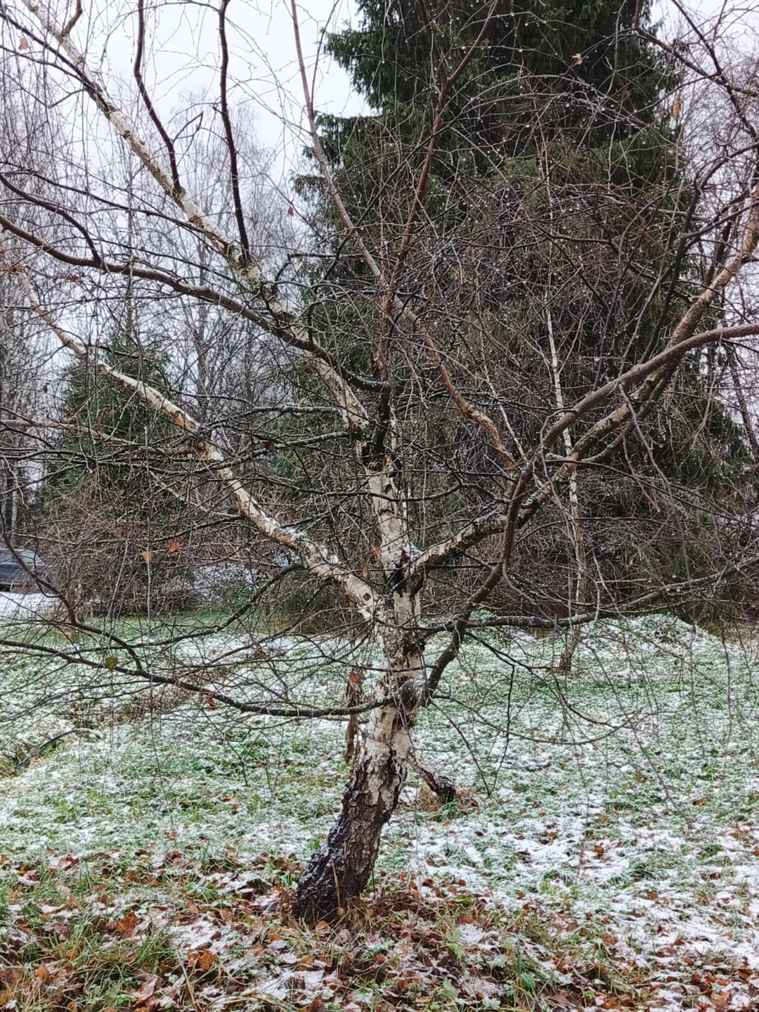 Фото путешественника — 2