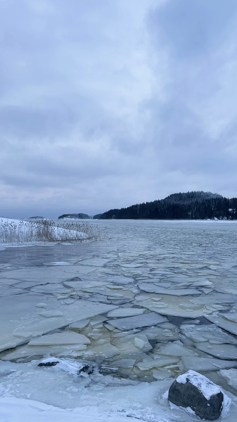 Отзыв о экскурсии "По Ладожскому озеру — на аэролодке своей компанией!" — фото 4