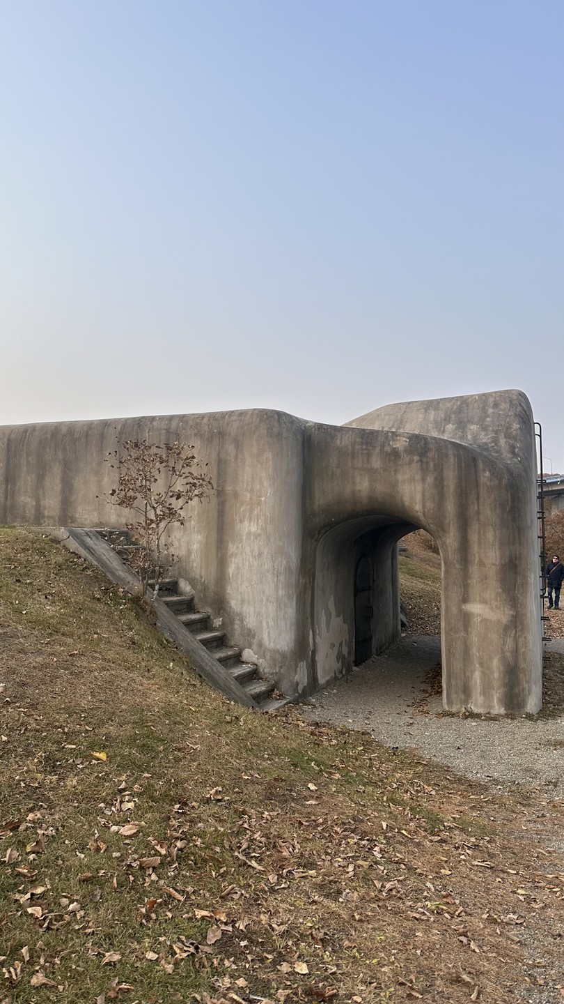 Отзыв о экскурсии "Топ-5 мысов острова Русский!" — фото 8