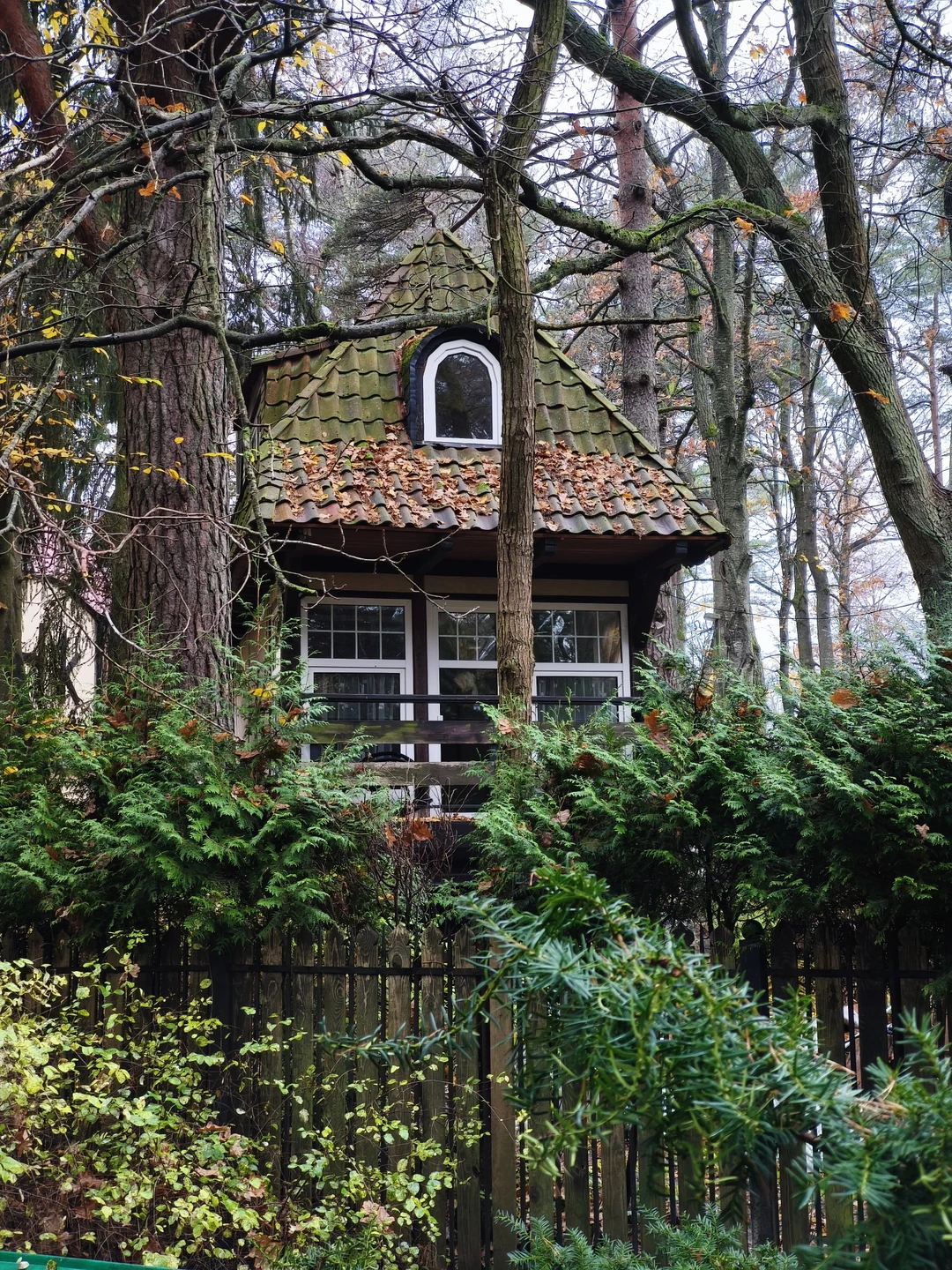 Отзыв о экскурсии "Самый медленный город России: прогулка по Светлогорску" — фото 4