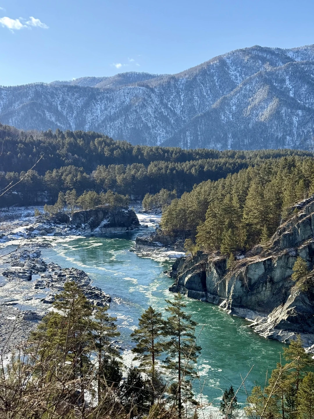 Отзыв о экскурсии "Путешествие в Чемал: открыть природу Горного Алтая" — фото 2