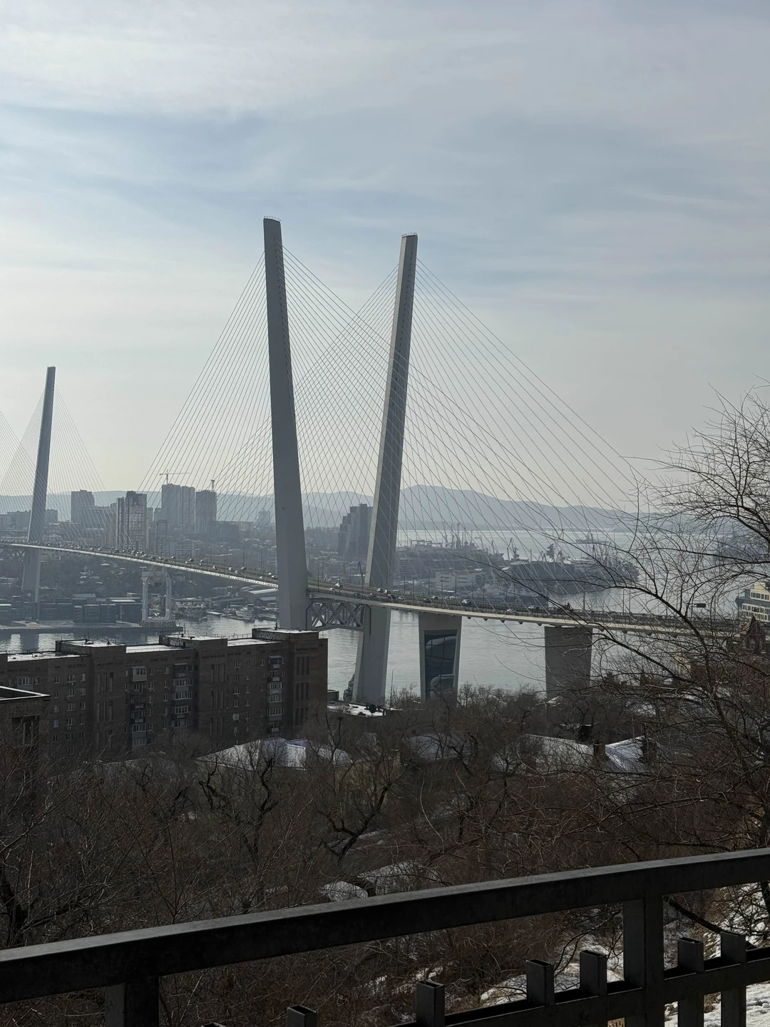 Отзыв о экскурсии "Владивосток и остров Русский" — фото 1
