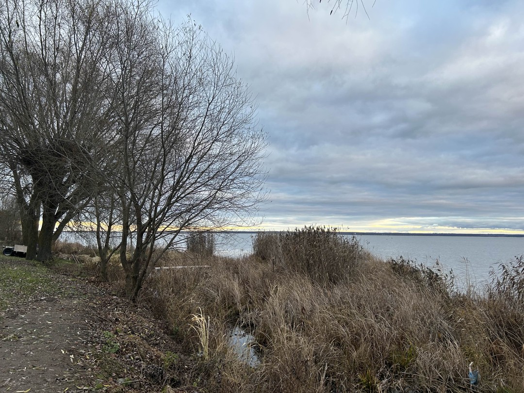 Отзыв о экскурсии "Ростов Великий и его история" — фото 4