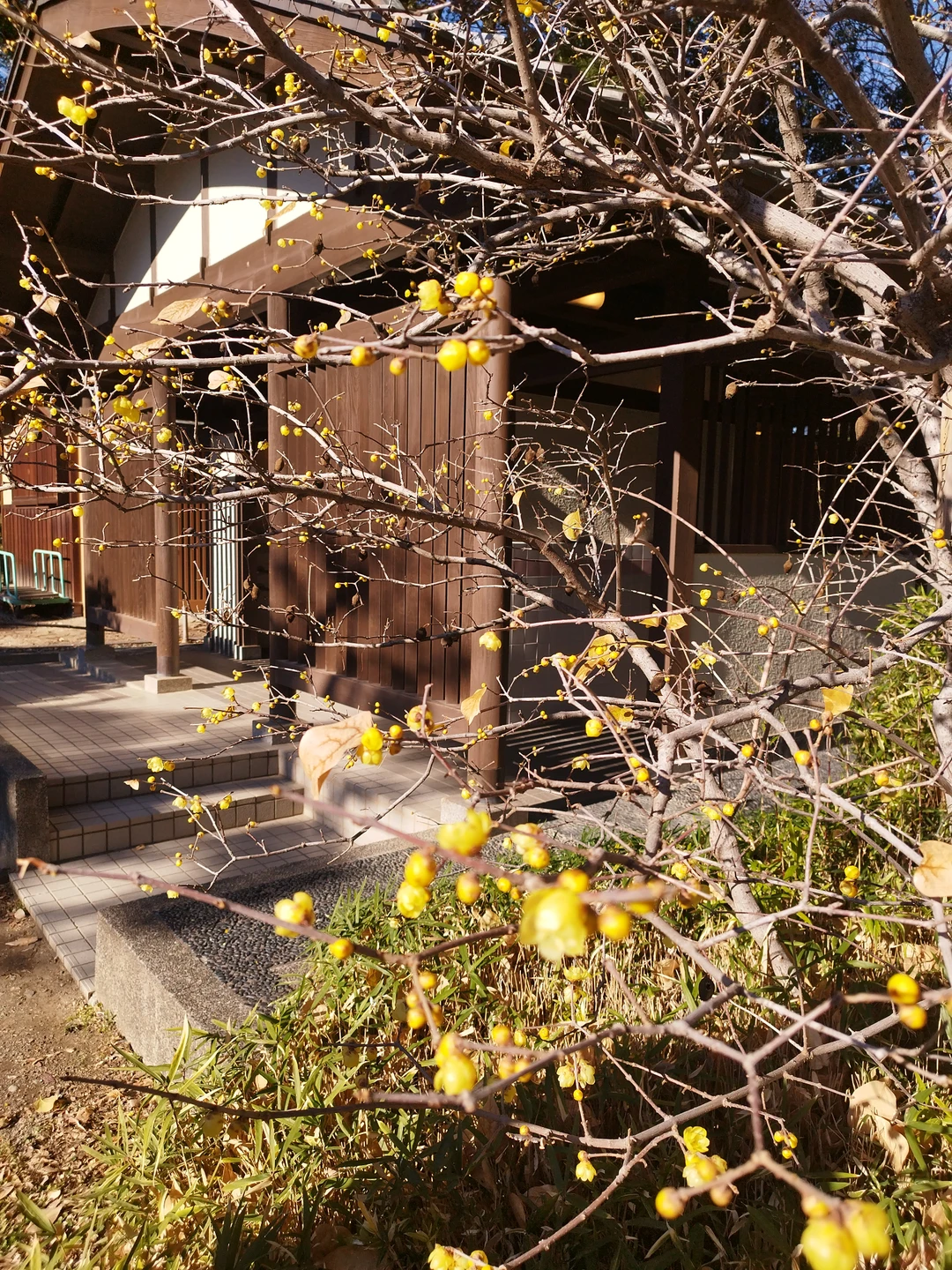 Фото путешественника — 2