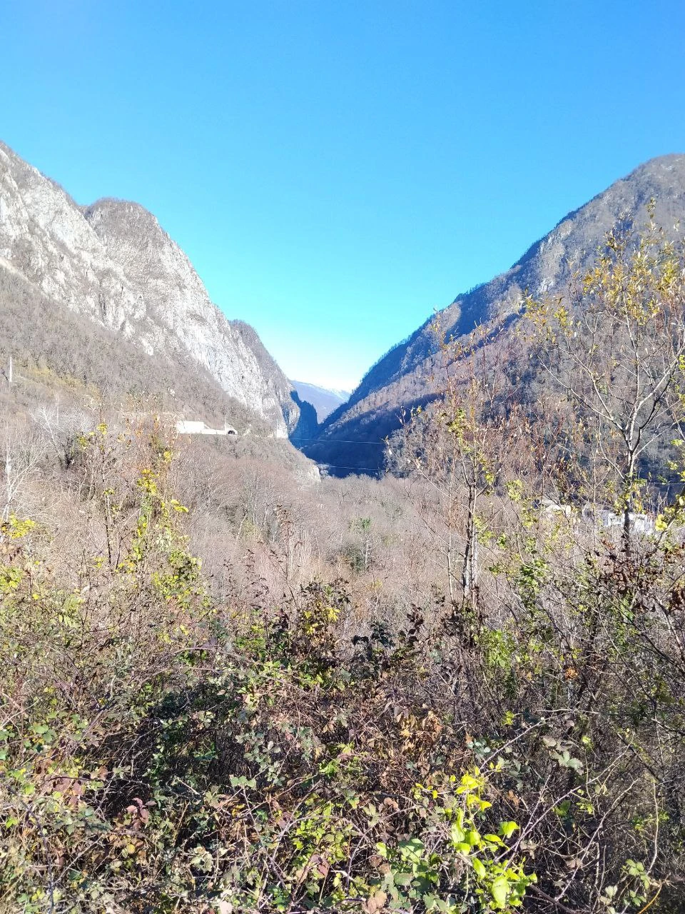 Отзыв о экскурсии "Поедем, поедим! Гастротур из Адлера" — фото 7