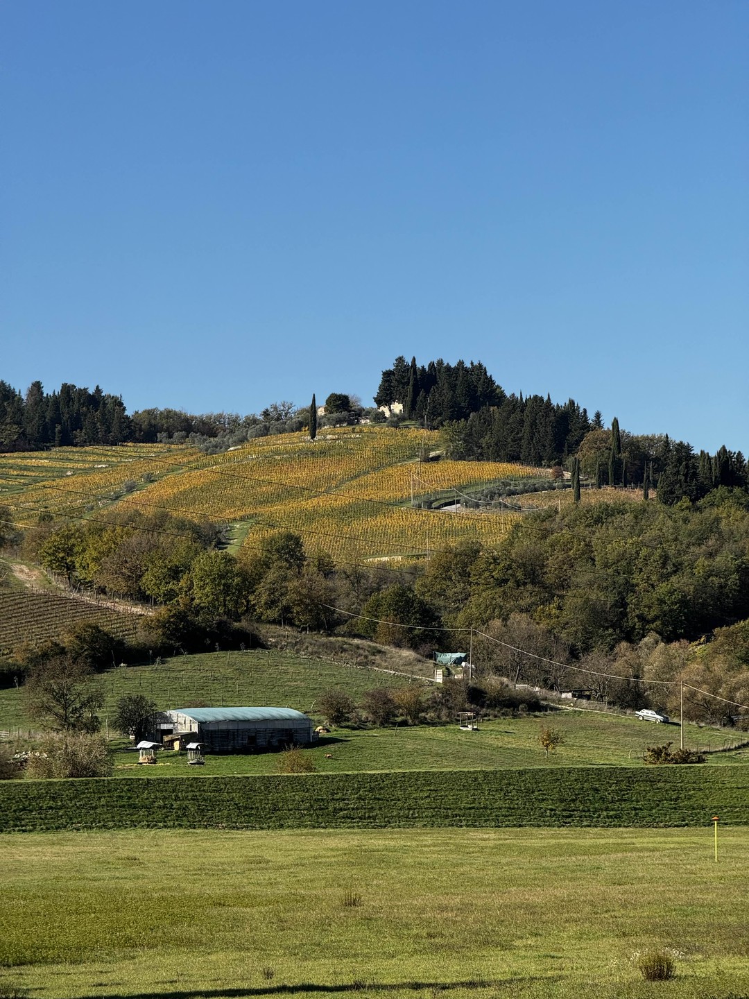 Отзыв о экскурсии "Та самая Тоскана: вино в замке Кьянти и пейзажи" — фото 1