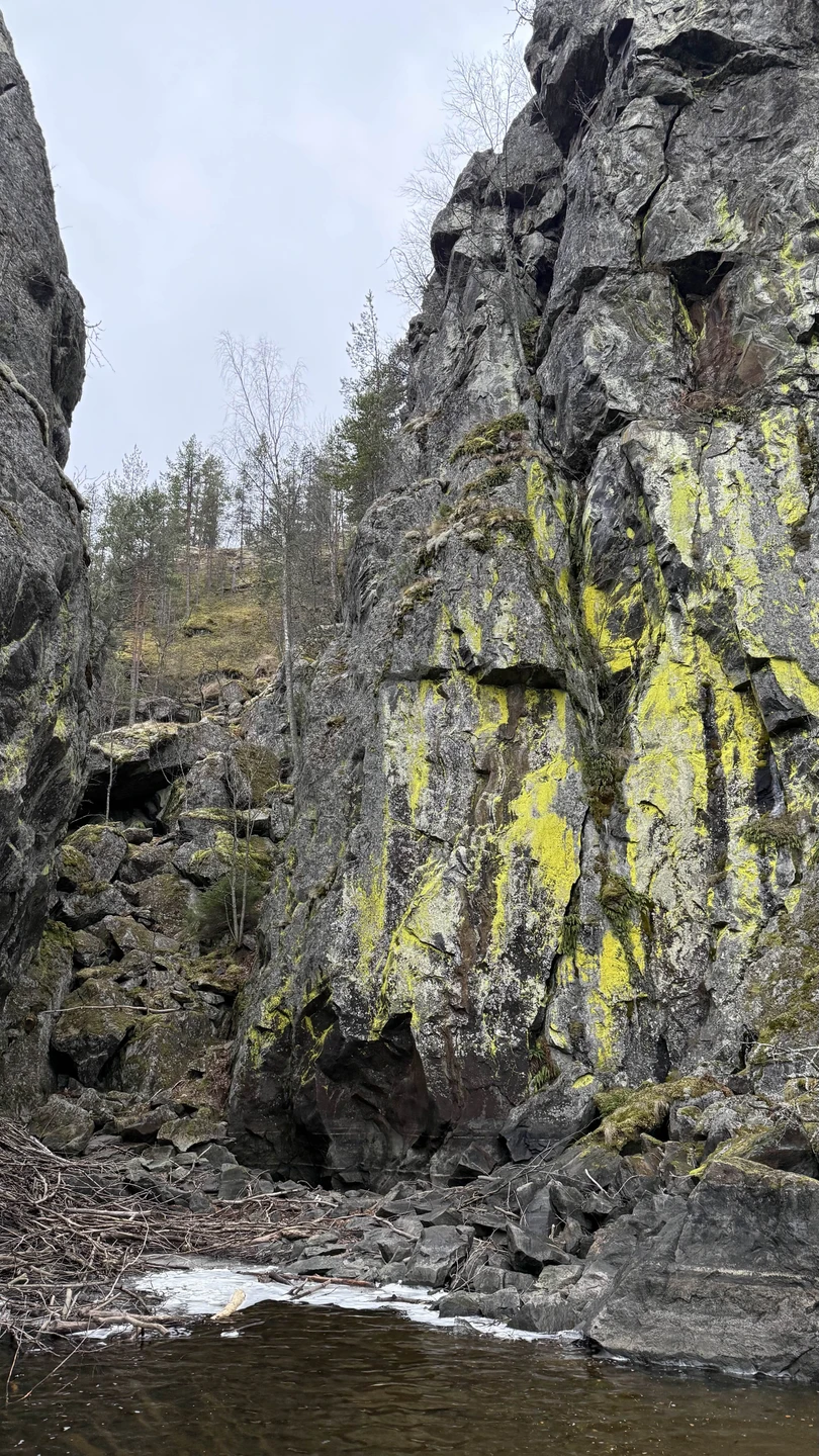 Отзыв о экскурсии "Зимние ладожские шхеры — на аэролодке" — фото 4