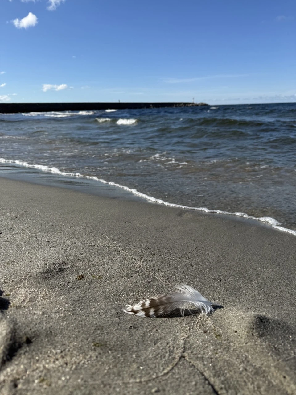 Отзыв о экскурсии "Большое путешествие из Калининграда: секреты местных жителей и жизнь региона" — фото 2