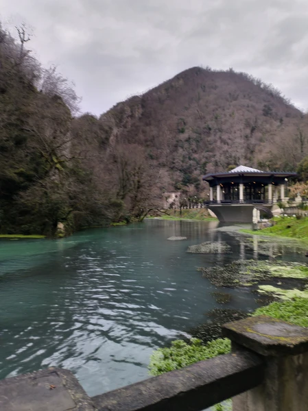 Отзыв о экскурсии "Удивительная Абхазия с трансфером из Сочи" — фото 1