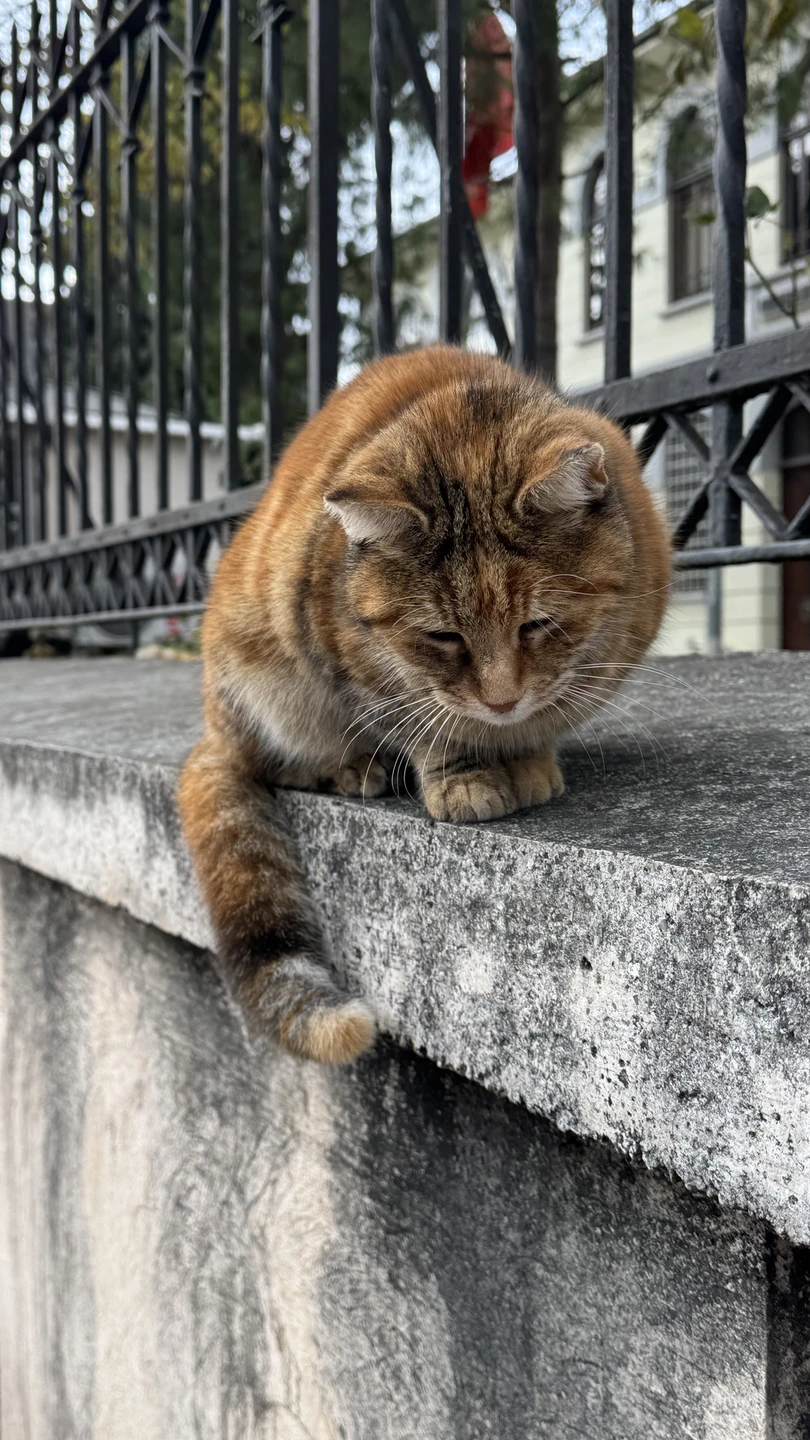 Фото путешественника — 5