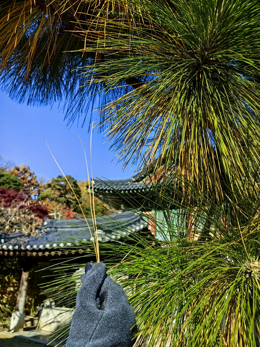 Отзыв о экскурсии "Гангнам вчера и сегодня" — фото 3