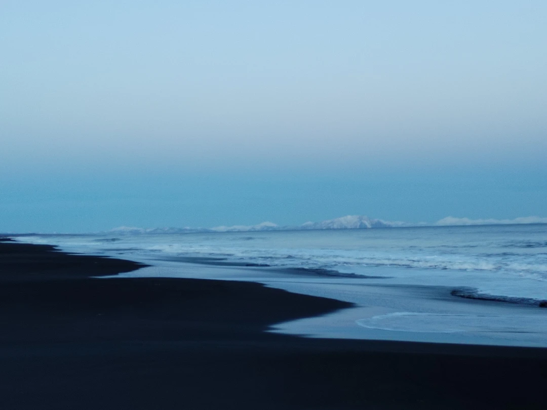 Отзыв о экскурсии "Халактырский пляж: закат у Тихого океана" — фото 2
