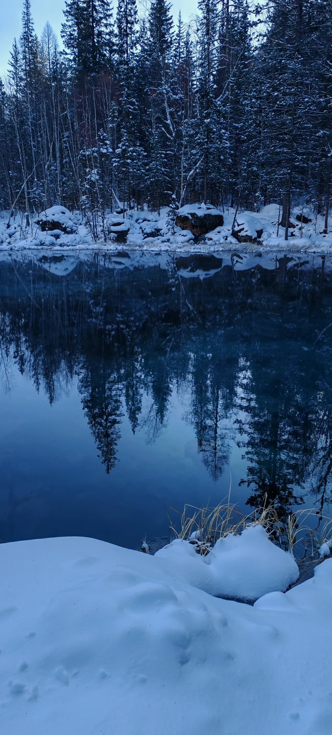 Отзыв о экскурсии "По легендарному Чуйскому тракту — к Гейзерному озеру" — фото 5