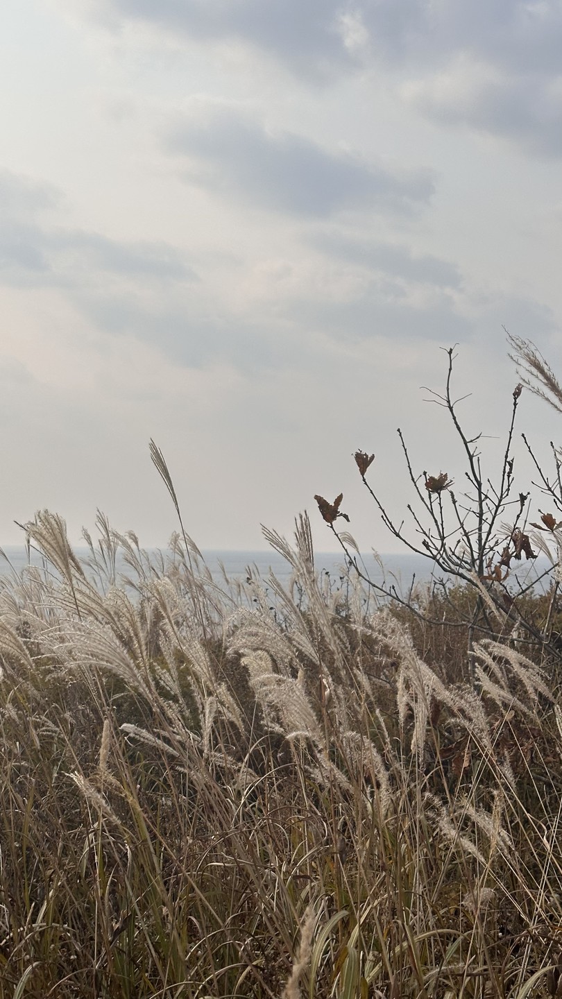 Отзыв о экскурсии "Топ-5 мысов острова Русский!" — фото 4