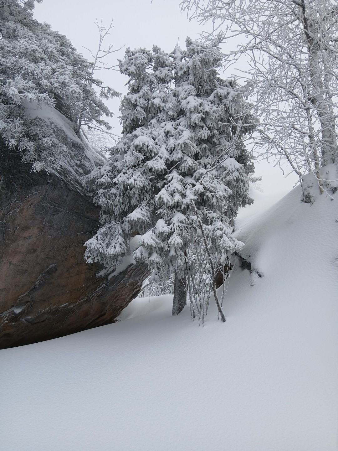 Отзыв о экскурсии "Экскурсия по местам съемок фильма «Сердце пармы»" — фото 1