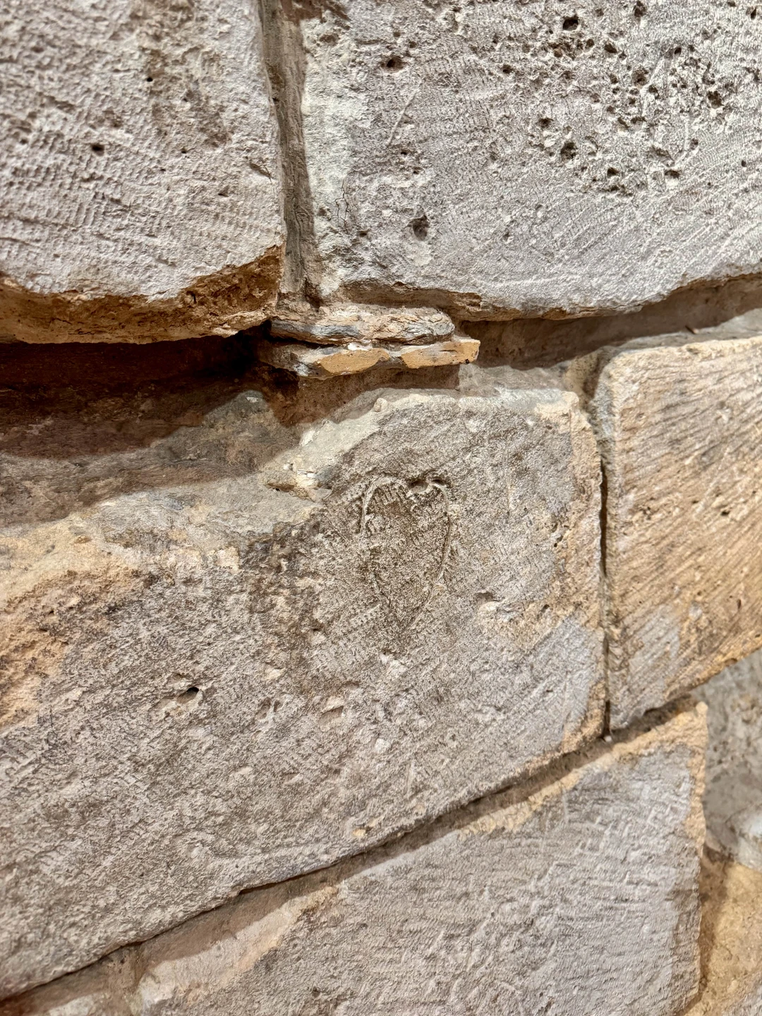 Фото путешественника — 4