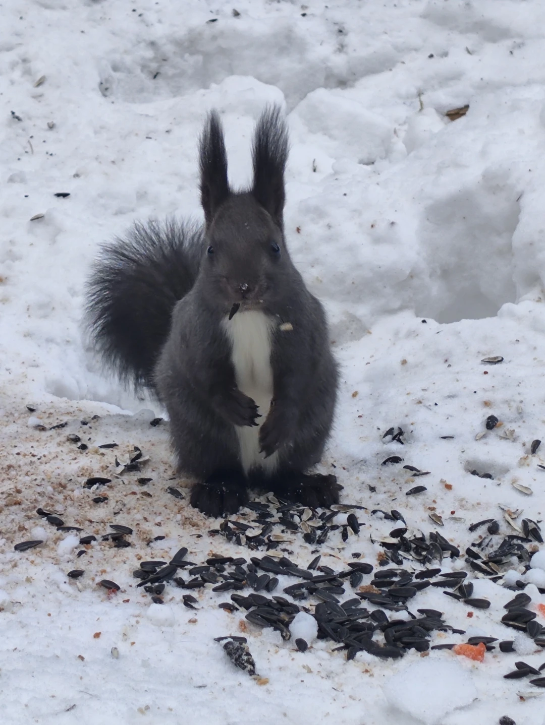 Фото путешественника — 4